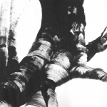 hout hout