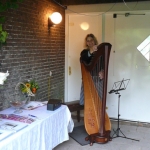 Muziek Muziek