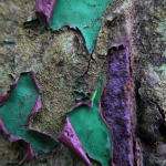 0092 roest rust niet 0092 roest rust niet
