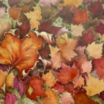 autumn leaves 3 autumn leaves 3