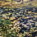 A Pond A Pond