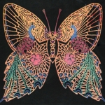 Vlinder Vlinder