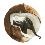 Dikke huid Dikke huid