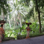 The real Bali The real Bali