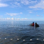 Bondalem Zee Bali Bondalem Zee Bali