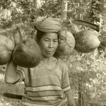Balinese oude vrouw met kokosnoten Balinese oude vrouw met kokosnoten