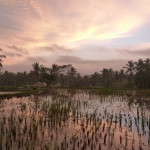 Avond licht Ubud Bali Avond licht Ubud Bali