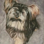Benji Benji