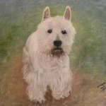Joep Joep