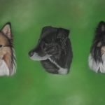 Cody Bobby Shana Cody Bobby Shana