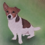 Boefje Boefje