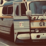 Greyhound Greyhound