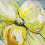 'Spring flower' 'Spring flower'