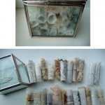'Glass box' 'Glass box'