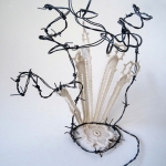 'Black spines white lace - Divers 'Black spines white lace - Divers
