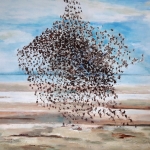 'Starlings swarm' 'Starlings swarm'