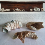 Object with shell forms - Divers Object with shell forms - Divers