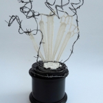 'Black spines white lace - Divers 'Black spines white lace - Divers