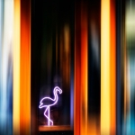 Flamingo Club Flamingo Club