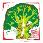 Broccoli Broccoli