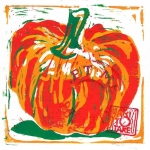 My Pumpkin My Pumpkin