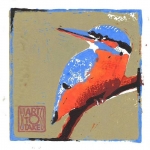 IJsvogel IJsvogel