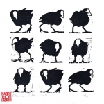 Coot! Coot!