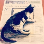 Can't read the newspaper today Can't read the newspaper today