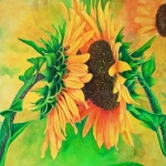 Zonnebloemen Zonnebloemen