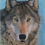 Wolf Wolf