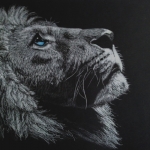 White spirit lion White spirit lion