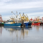 Kleurrijke schepen in de haven van Lauwersoog