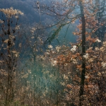 Herfstplaatje Herfstplaatje