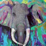 Afrikaanse Olifant Afrikaanse Olifant