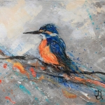 Ijsvogeltje Ijsvogeltje