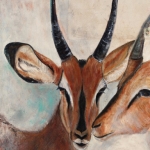 Impala Impala