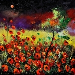 Poppies 7741 Poppies 7741