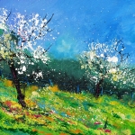 Orchard in spring 564150 Orchard in spring 564150