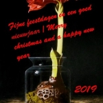 Amaryllis Kerstwens 2019 Amaryllis Kerstwens 2019