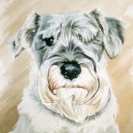 honden portret honden portret