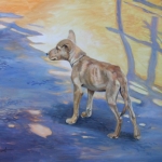 zwerfhondje zwerfhondje