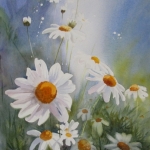 margrietjes margrietjes
