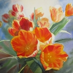 tulpen tulpen