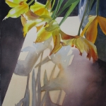 Tulpen Tulpen