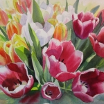Tulpen uit Amsterdam Tulpen uit Amsterdam