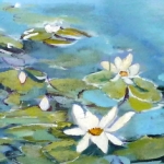 waterlelies waterlelies
