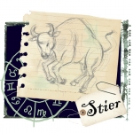 Taurus Taurus