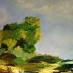 Nature / Hoge Veluwe. Nature / Hoge Veluwe.