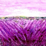 The smell of lavender The smell of lavender