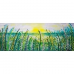 Landscape Landscape